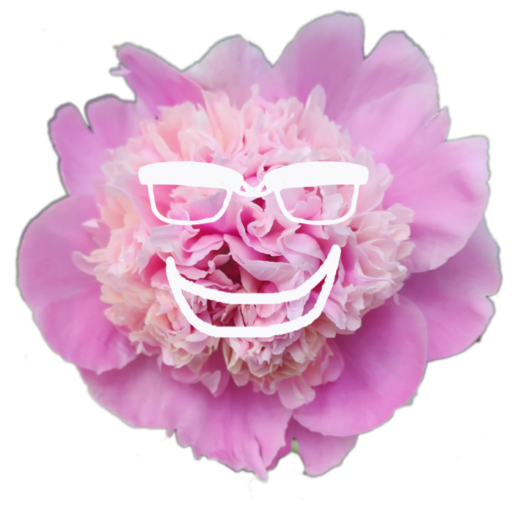 big pink peony smiling