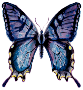 Flutterby 1200 Trans