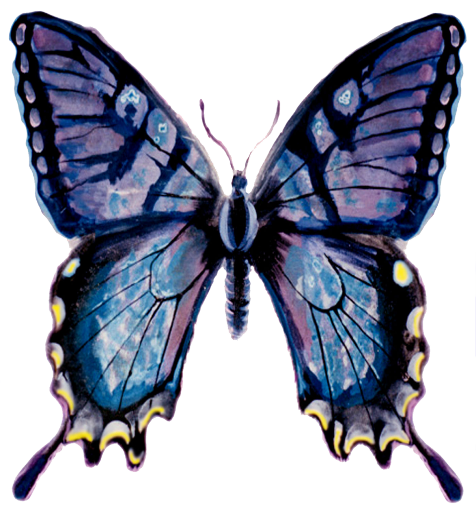 Flutterby 1200 Trans