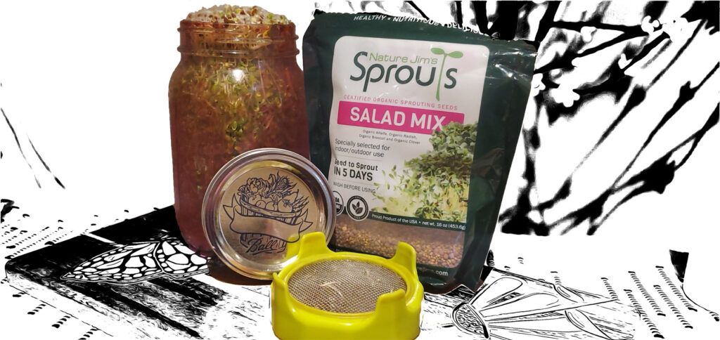 grow sprouts at home