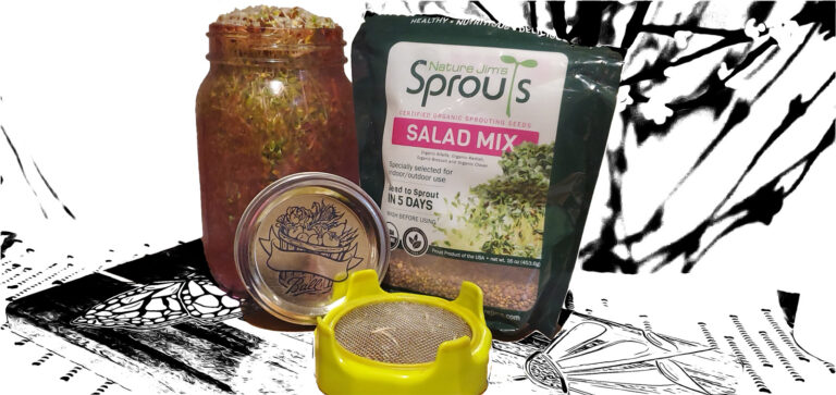 grow sprouts at home