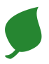 little green leaf