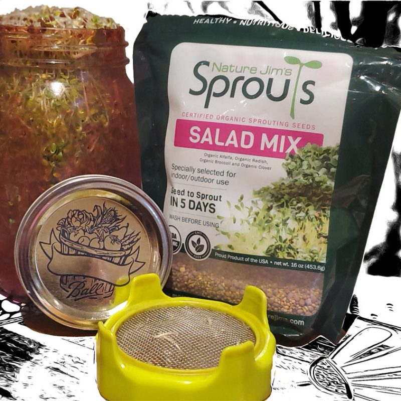 grow sprouts at home